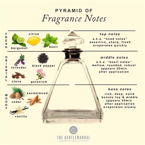 cologne perfume origin